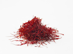Saffron Extract (Crocus sativus L.)