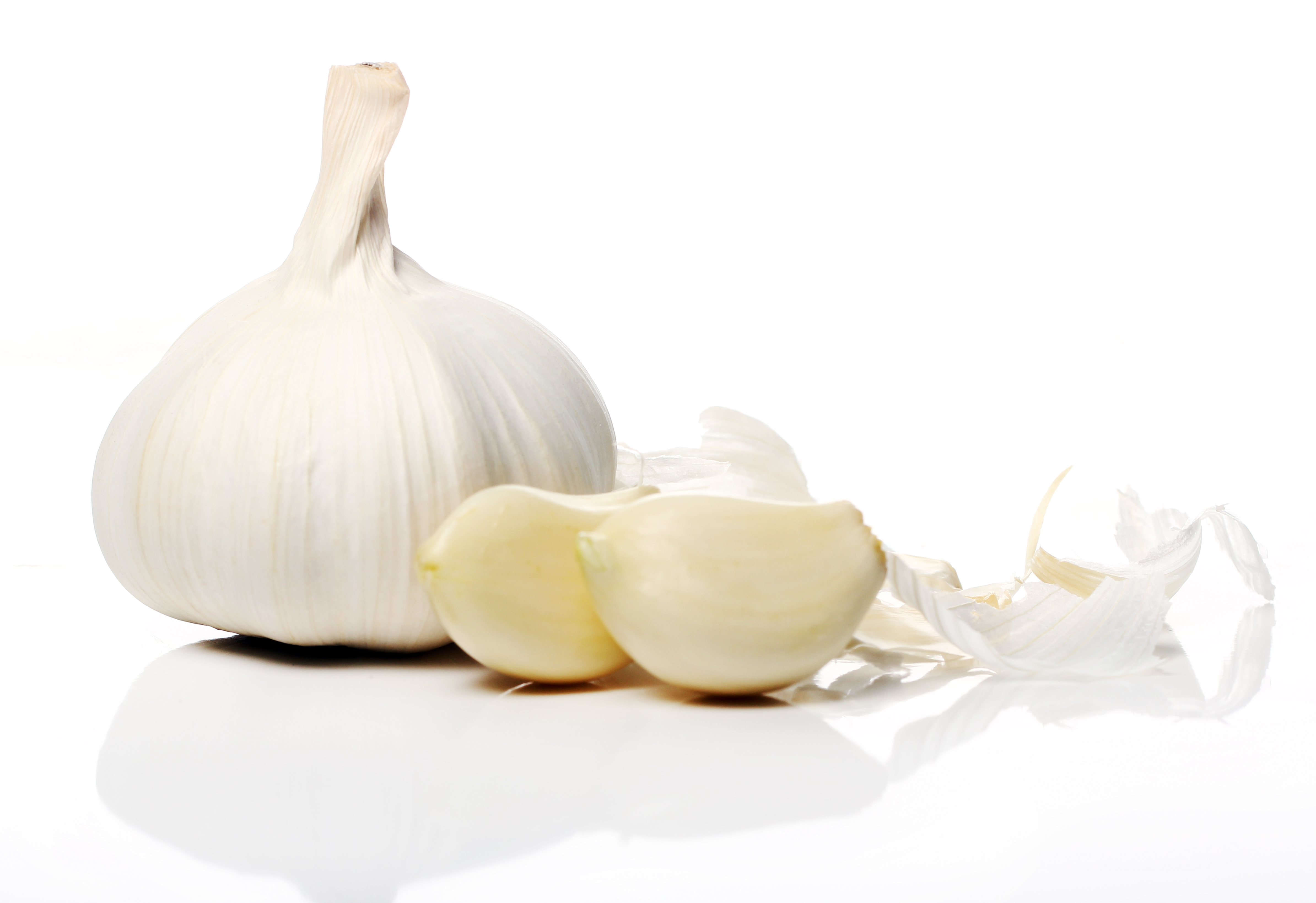 Garlic Extract (Allium sativum)