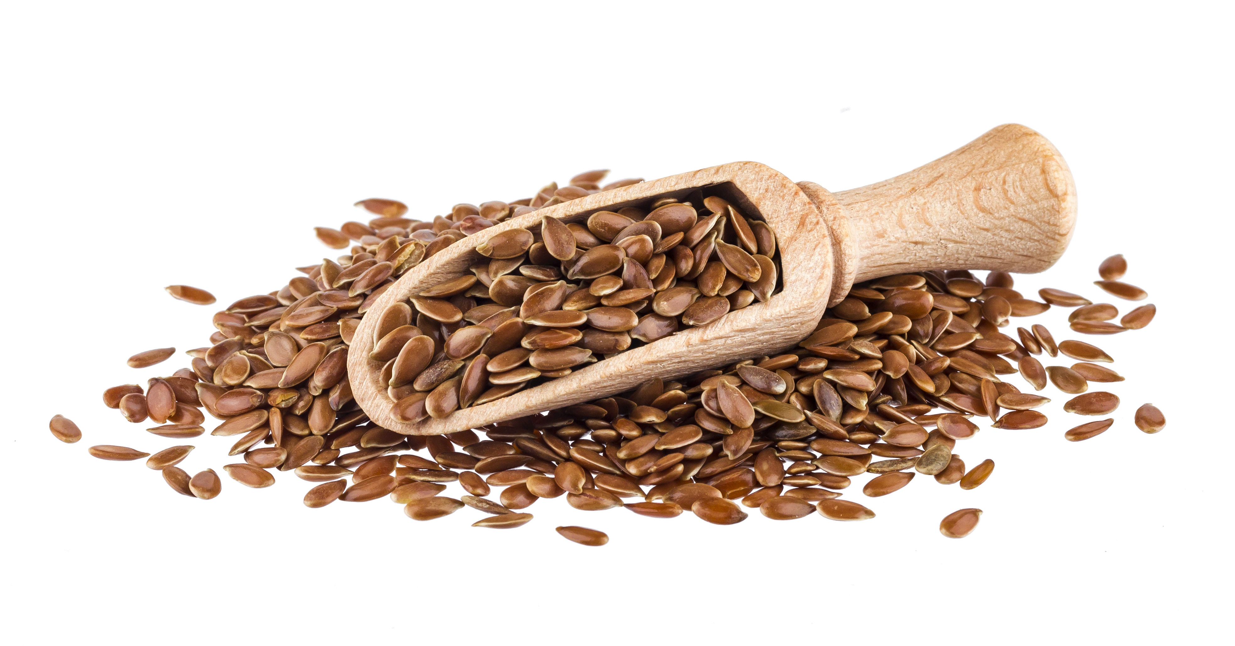 Flax Seed Extract (Linum usitatissimum)