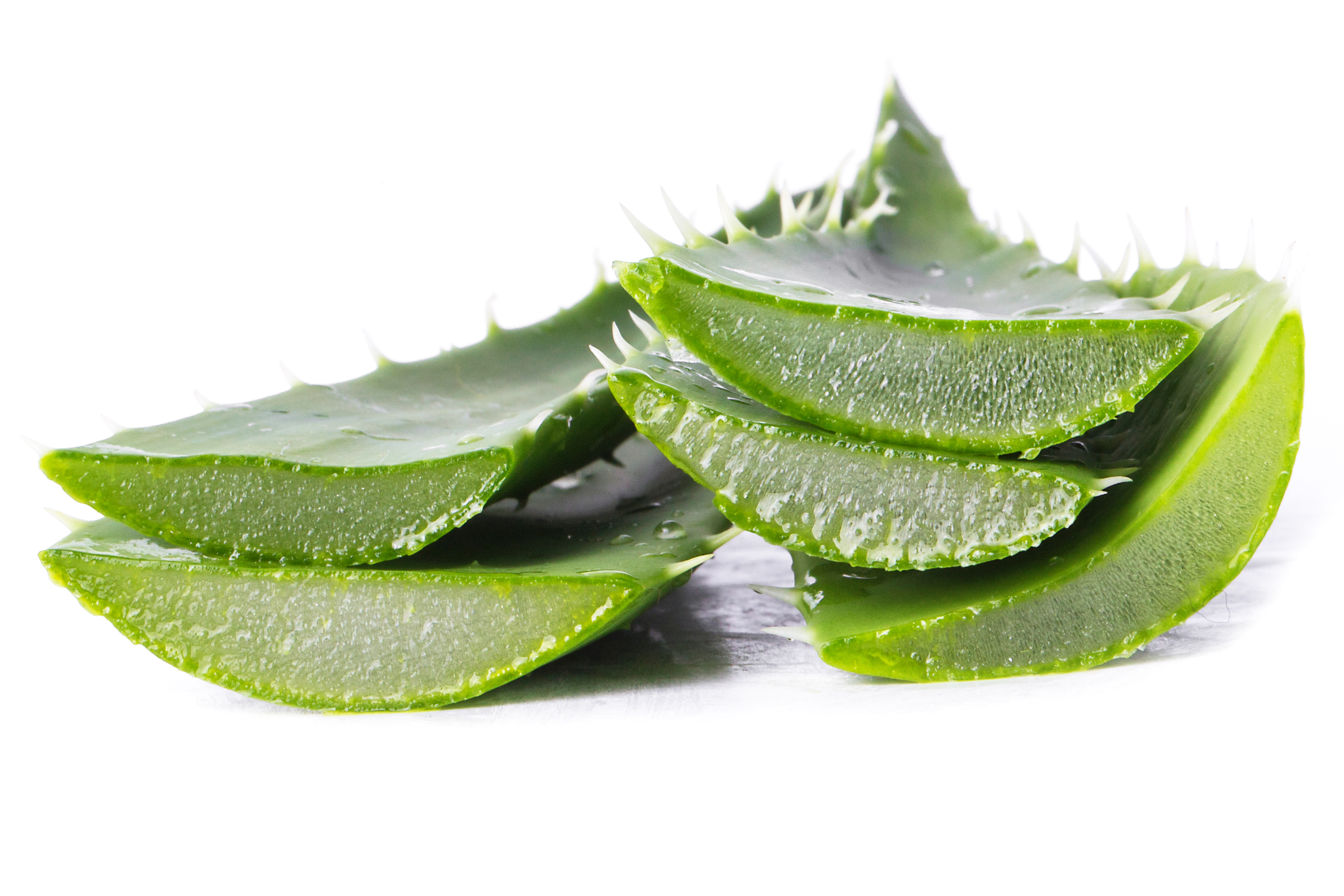 Aloe Vera Extract (Aloe barbadensis Mill.)
