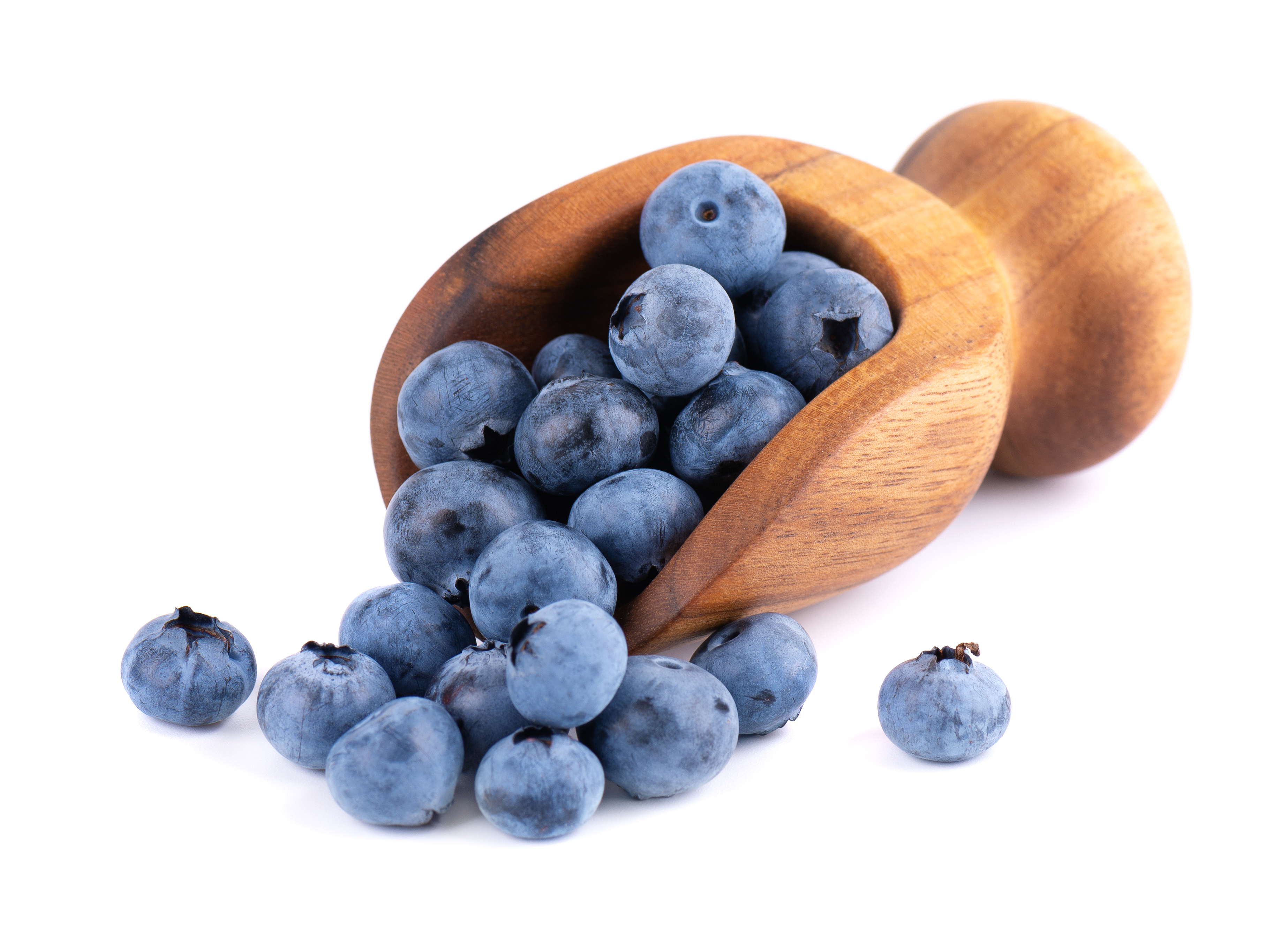 Bilberry Extract (Vaccinium myrtillus)