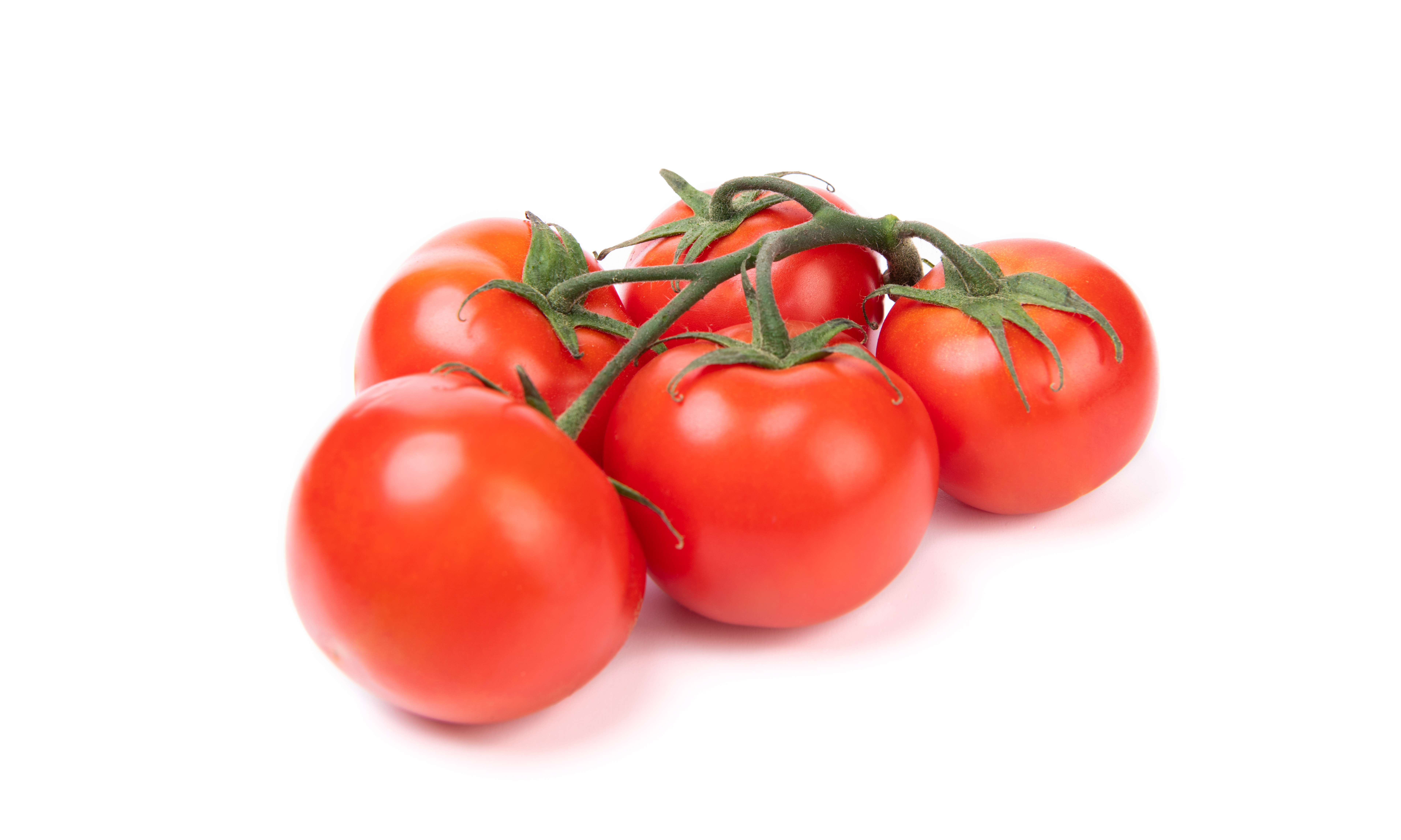 Lycopene (Solanum lycopersicum)
