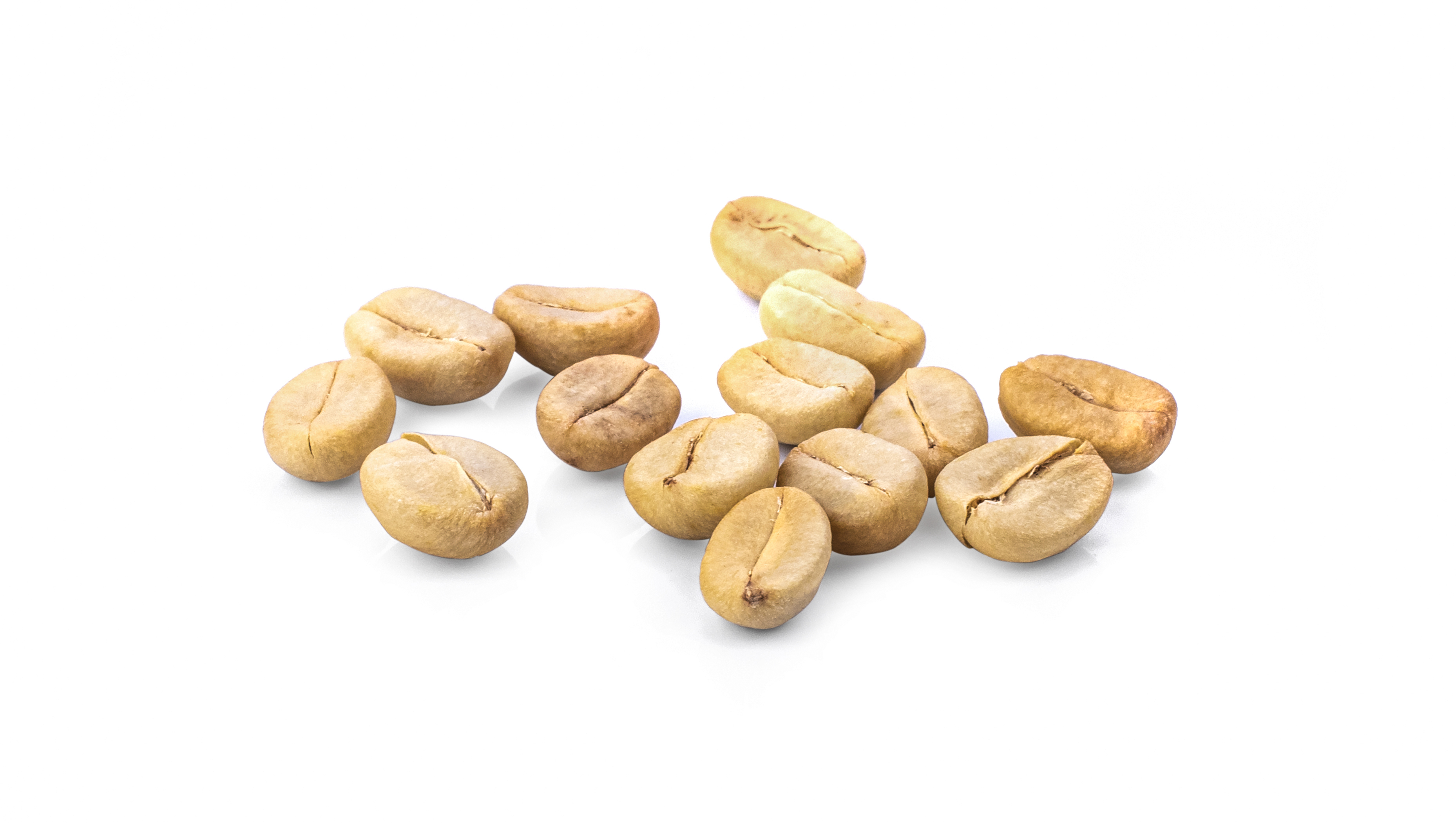 Green Coffee Extract (Coffea arabica)