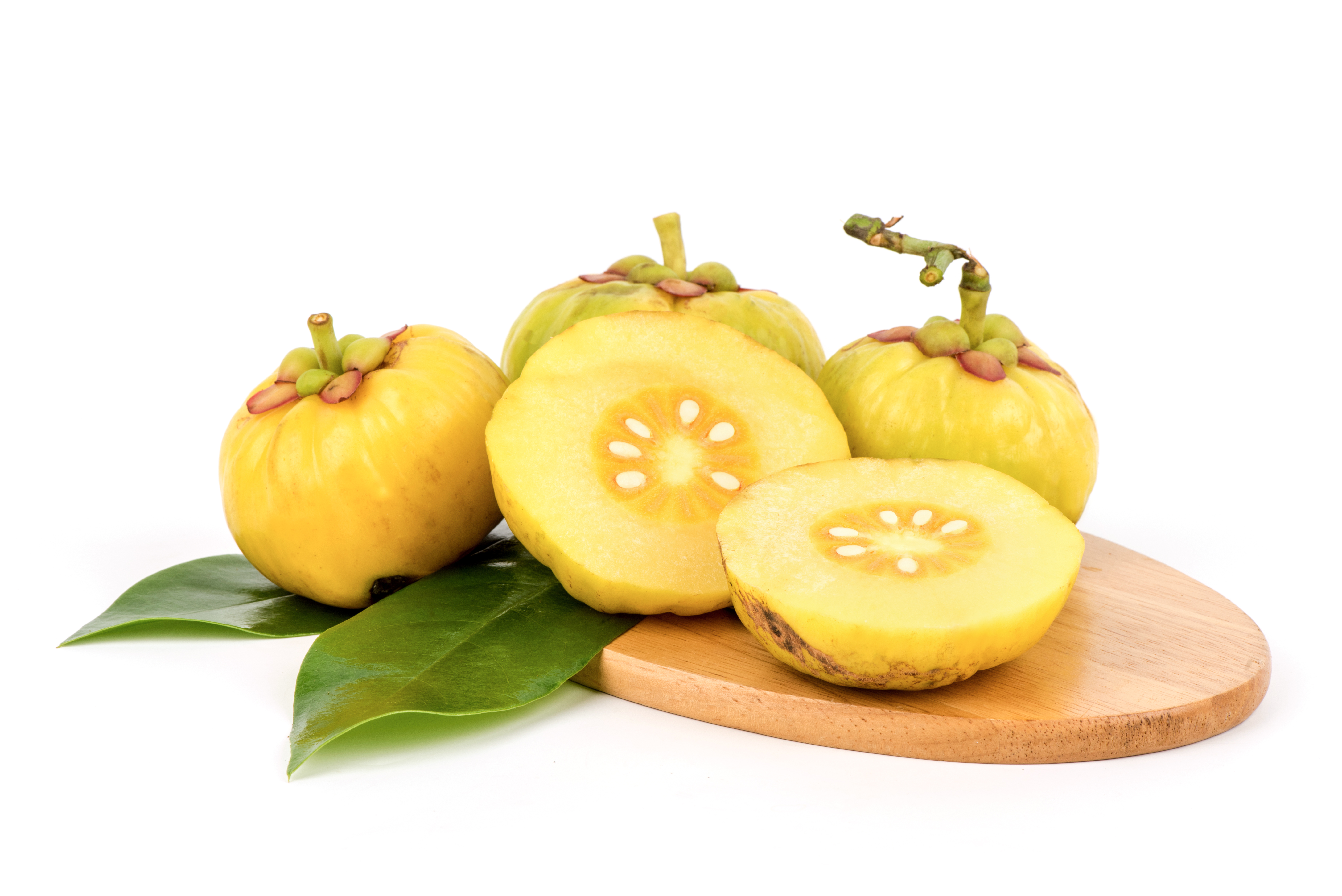 Garcinia Cambogia Extract
