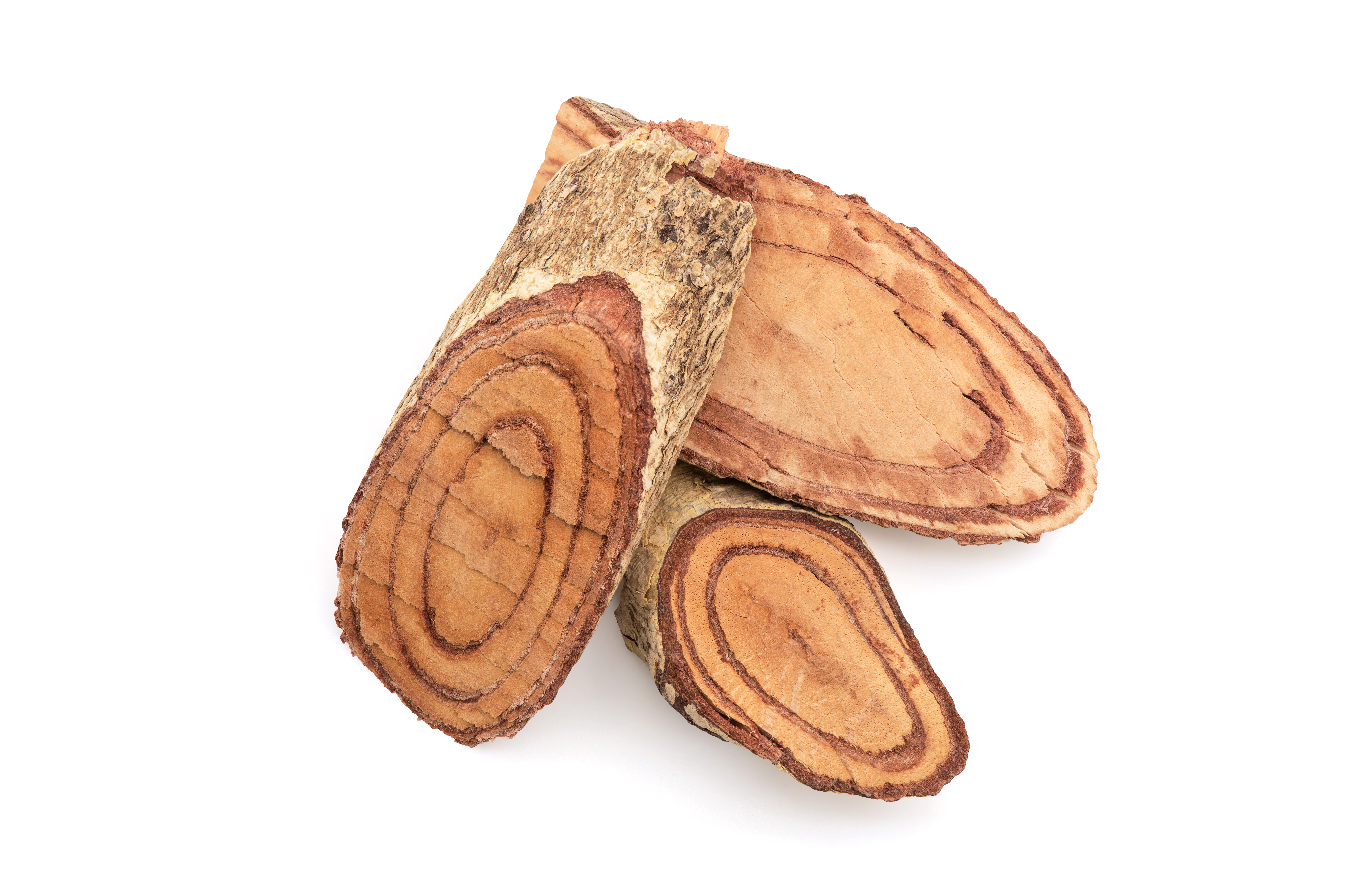 Salacia Reticulata Extract