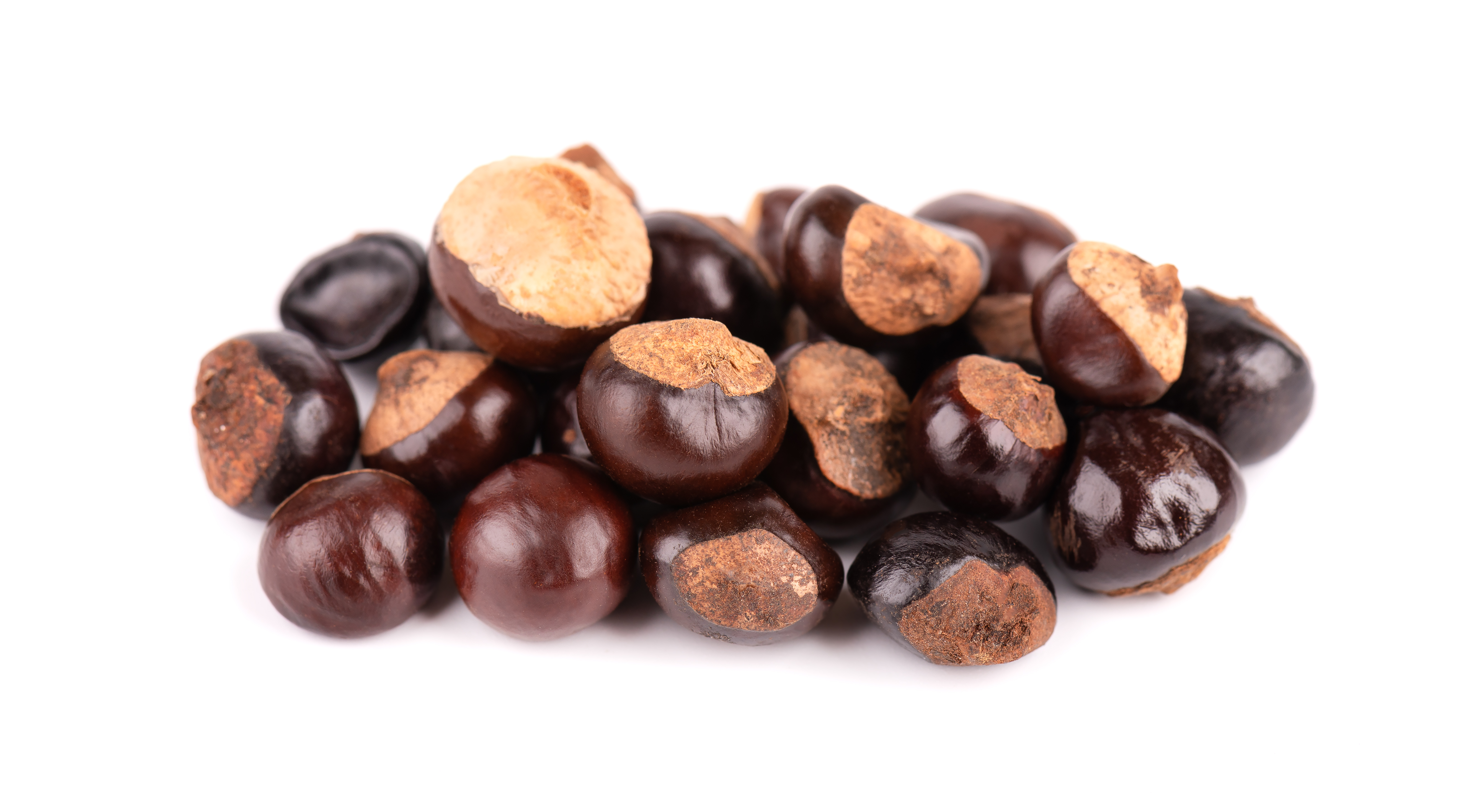 Guarana Extract (Paullina cupana)