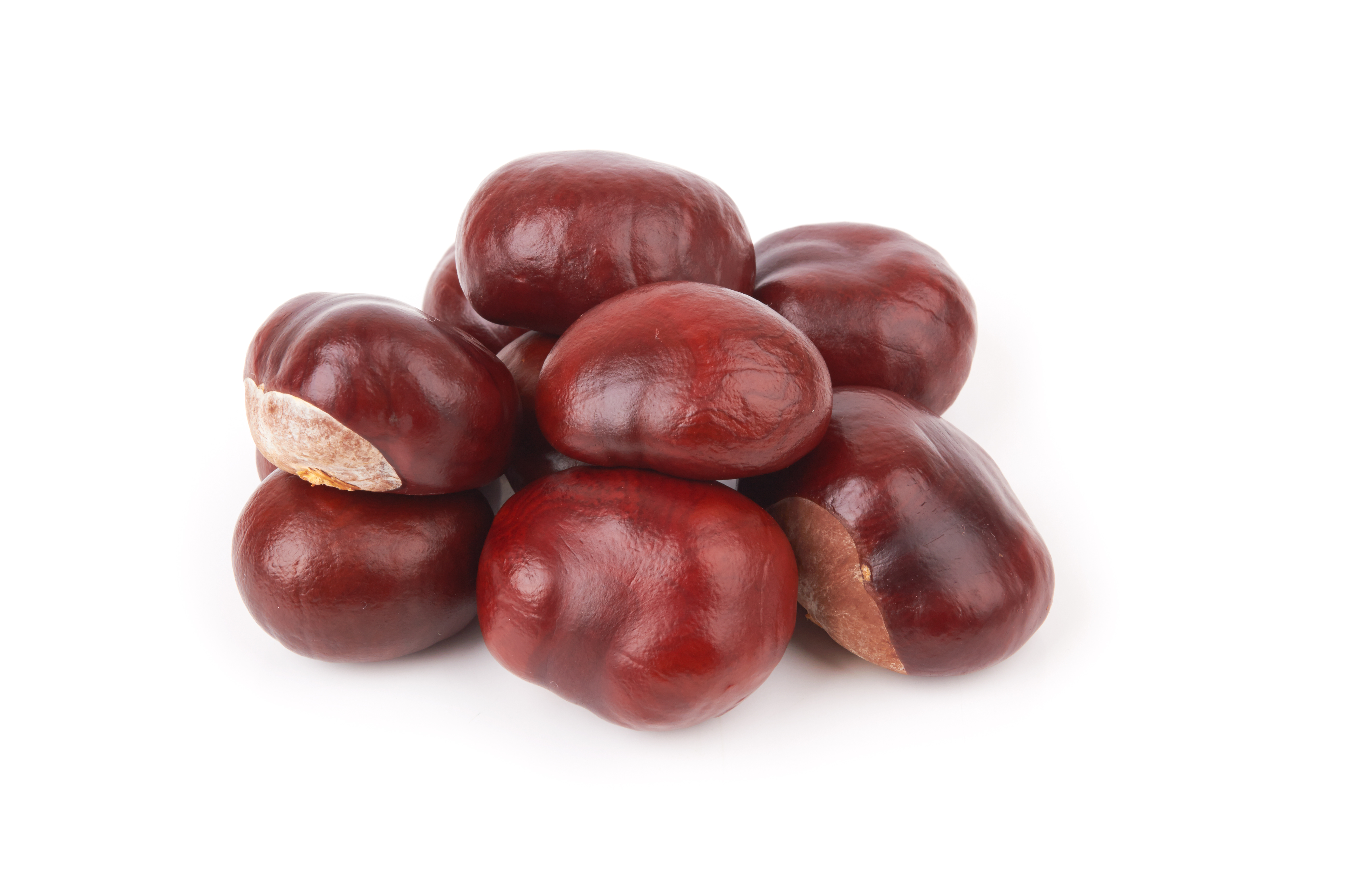 Horse Chestnut Extract (Aesculus hippocastanum)
