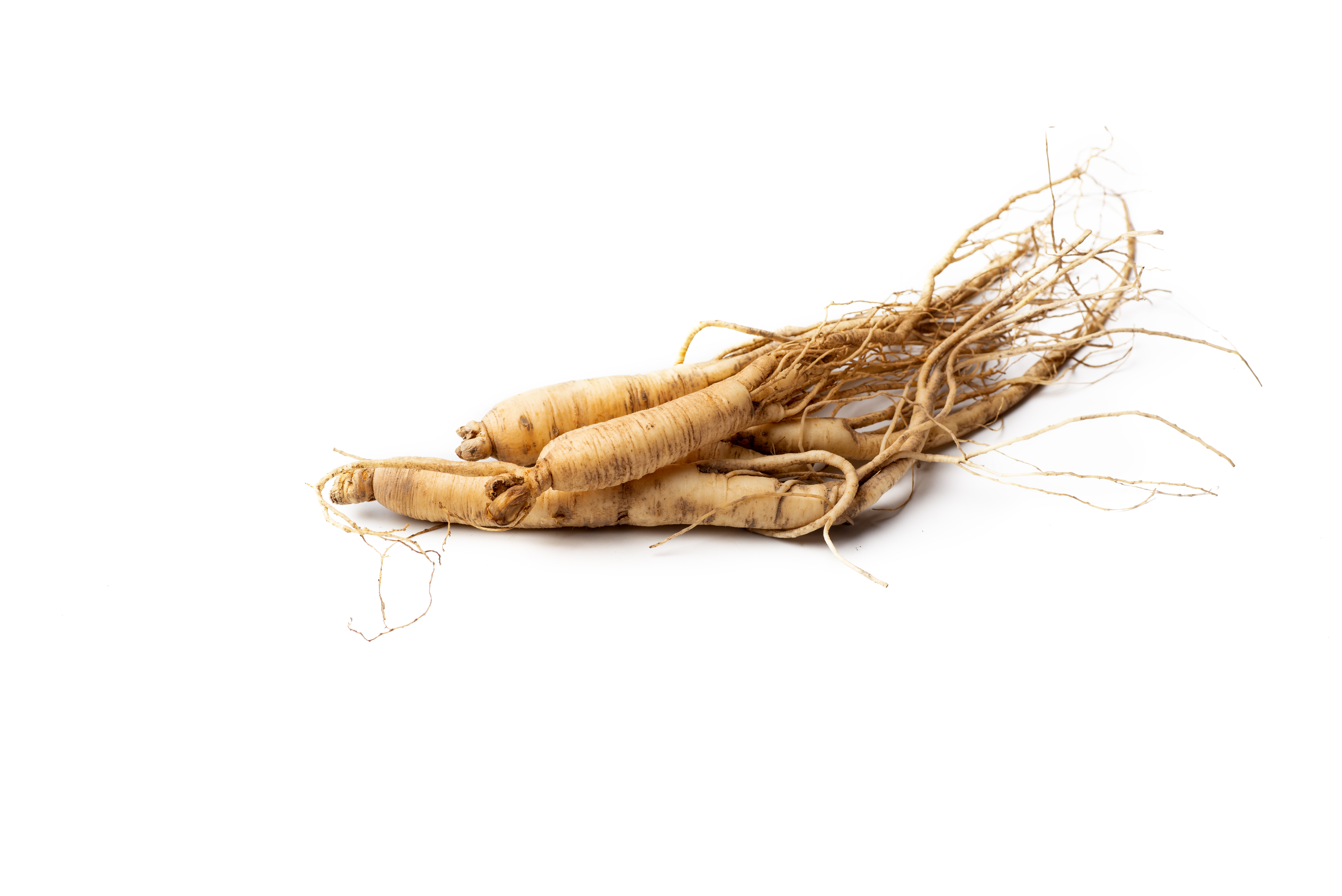 Ginseng Extract (Panax ginseng)
