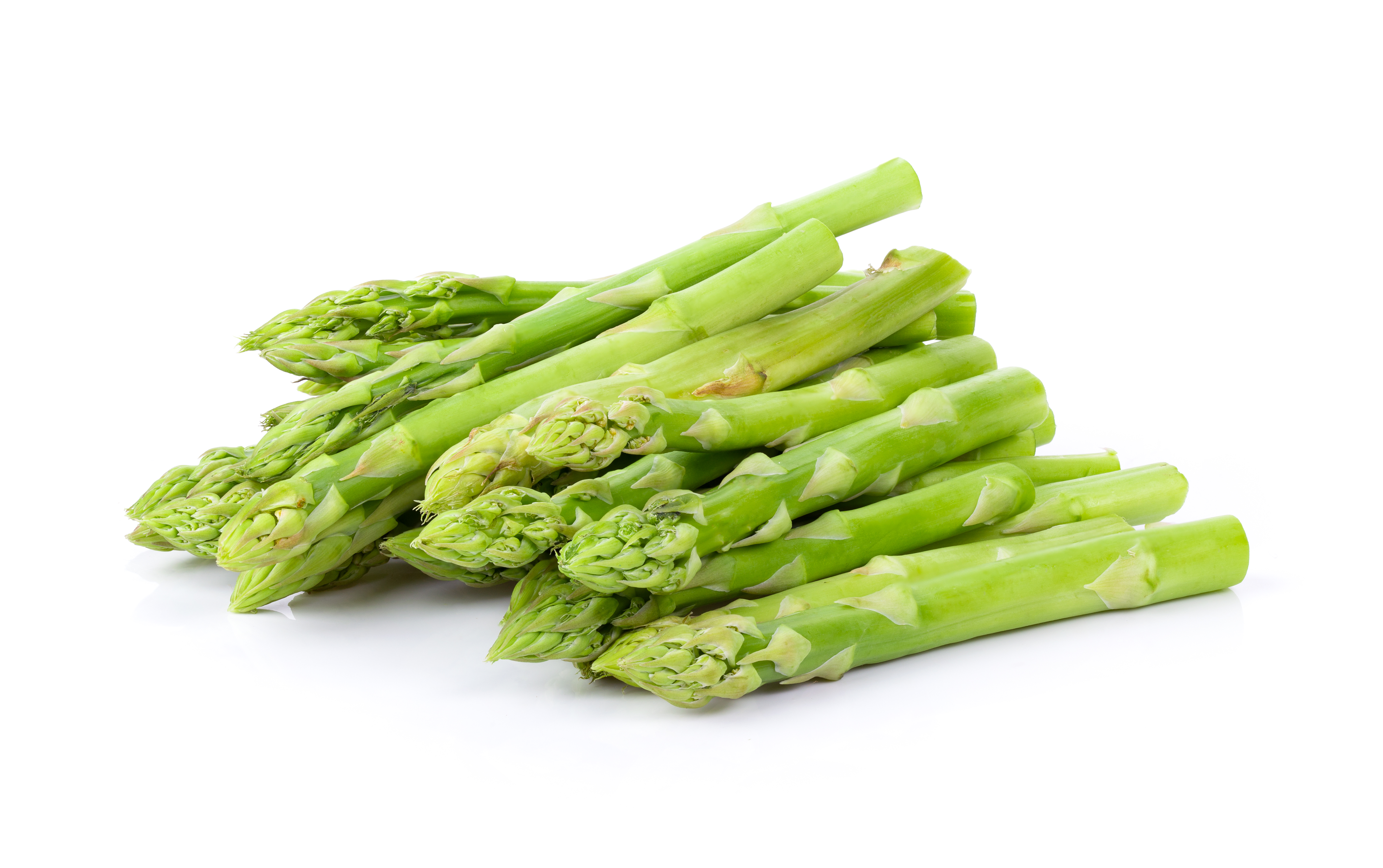 Satavari Extract (Asparagus racemosus)