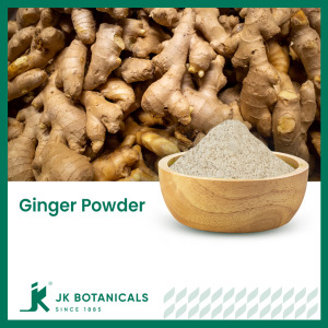 Ginger Root powder