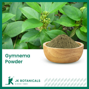 Gymnema Leaves Powder