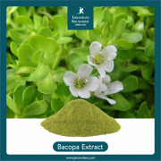 Bacopa Monnieri Extract