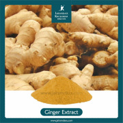Ginger Extract