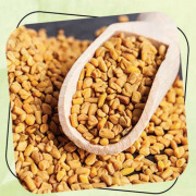 Fenugreek seeds extract ( Protodioscin)