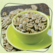Green Coffee Beans Extract