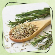 Rosemary Extract