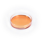 DL-Alpha-Tocopherol 96%