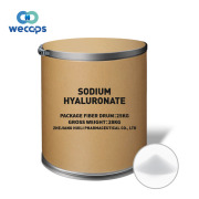 Sodium hyaluronate CAS#9067-32-7