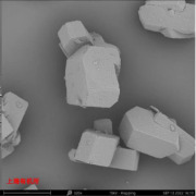 Shanghai EGT Synbio Group Co., Ltd.