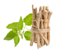Ashwagandha - Raw Material | Powder | Extract