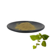 Nettle Extract 10:1