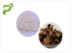 Magnolia Bark Extract