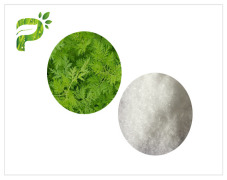 Artemisia Annua Extract / Artemisinin