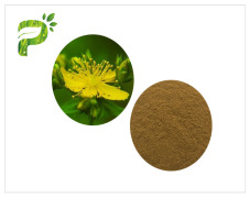 Hypericum perforatum L. Extract (Hypericin)