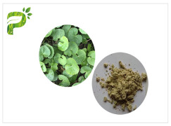 Centella Asiatica Extract