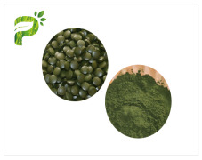 Chlorella Powder-Algae Powder