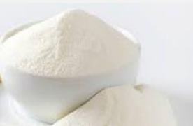 Probiotics Raw Materials