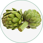 Artichoke Extract