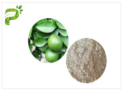 NATURAL SYNEPHRINE, CITRUS AURANTIUM EXTRACT