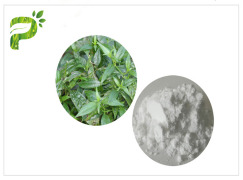 Andrographis Paniculate Extract, Andrographolide