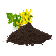 St.John’s Wort Extract