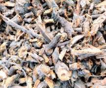 Polygonum Cuspidatum Extract/ Resveratrol