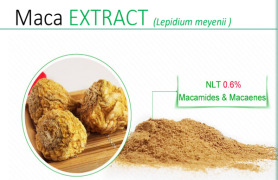 Maca EXTRACT