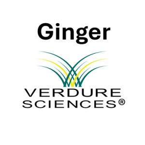 Ginger by Verdure Sciences®