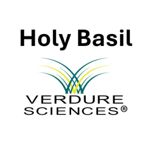HOLY BASIL by Verdure Sciences®