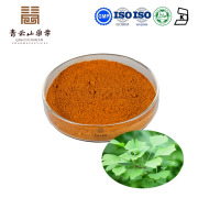 Organic Ginkgo Biloba Extract