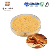 Korean Red Ginseng Extract