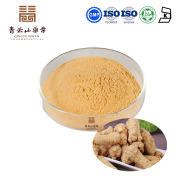 American Ginseng Extract