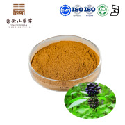 Siberian Ginseng Extract