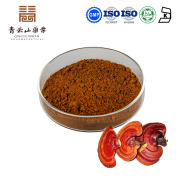 Organic Reishi Mushroom Extract