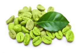 Green Coffee Bean Extract Powder