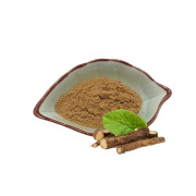 Burdock Root Extract 10% 20%