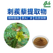 Tribulus terrestris Extract powder