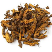 Berberine Hydrochloride