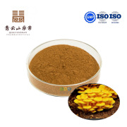 Golden Oyster Mushroom Extract