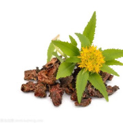 Rhodiola Rosea Extract Powder